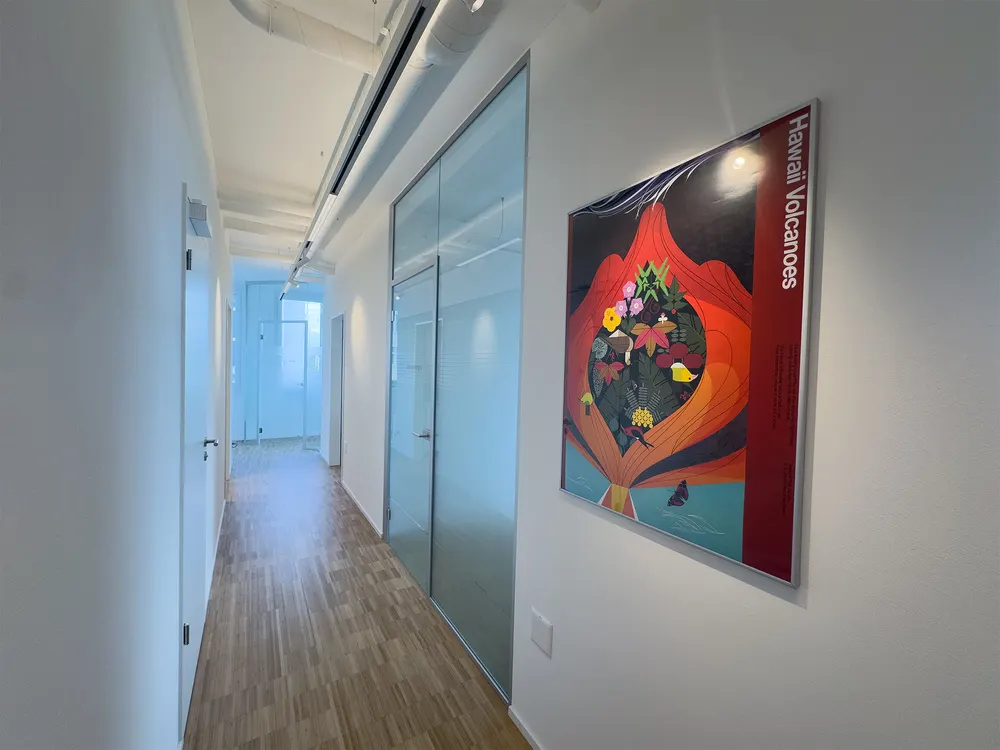 Bright practice corridor with a wooden floor, glass walls and a colourful picture